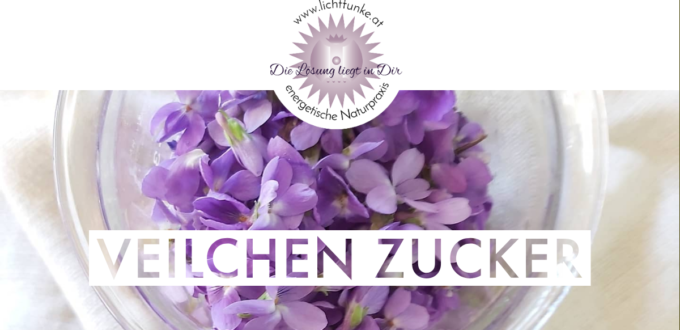 Veilchen Zucker