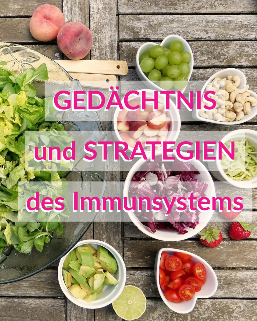 Immunsystem – Teil 3