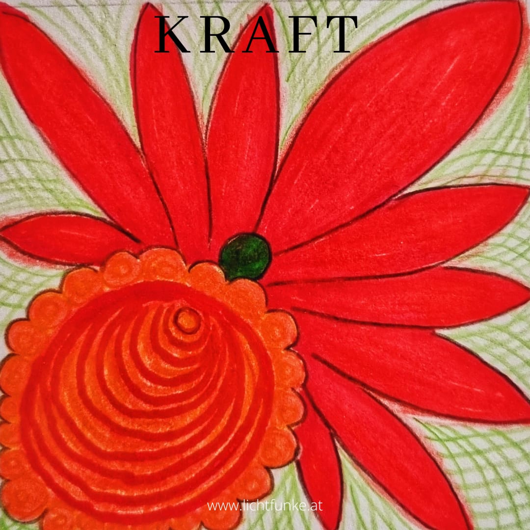 card-11