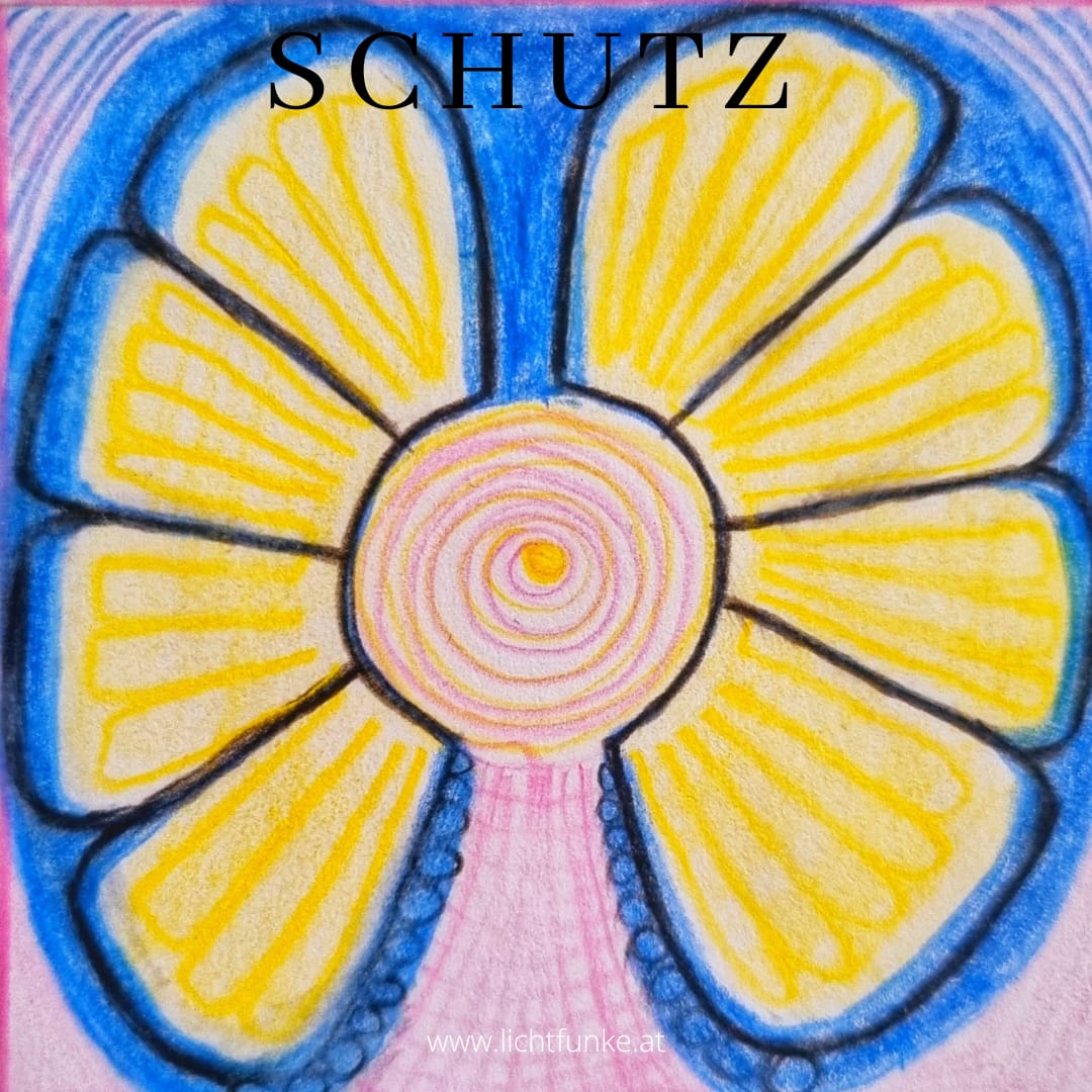 card-9