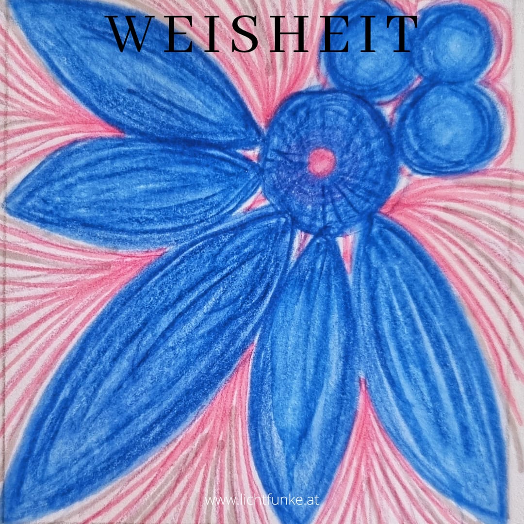 card-3